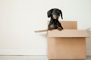 Help Older Loved Ones Move